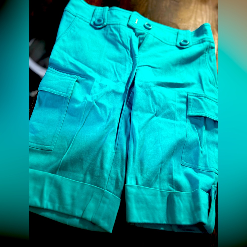 Cache Blue Size 4 Bermuda Shorts